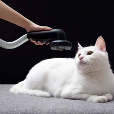 Cepillo para mascotas Pet Brush